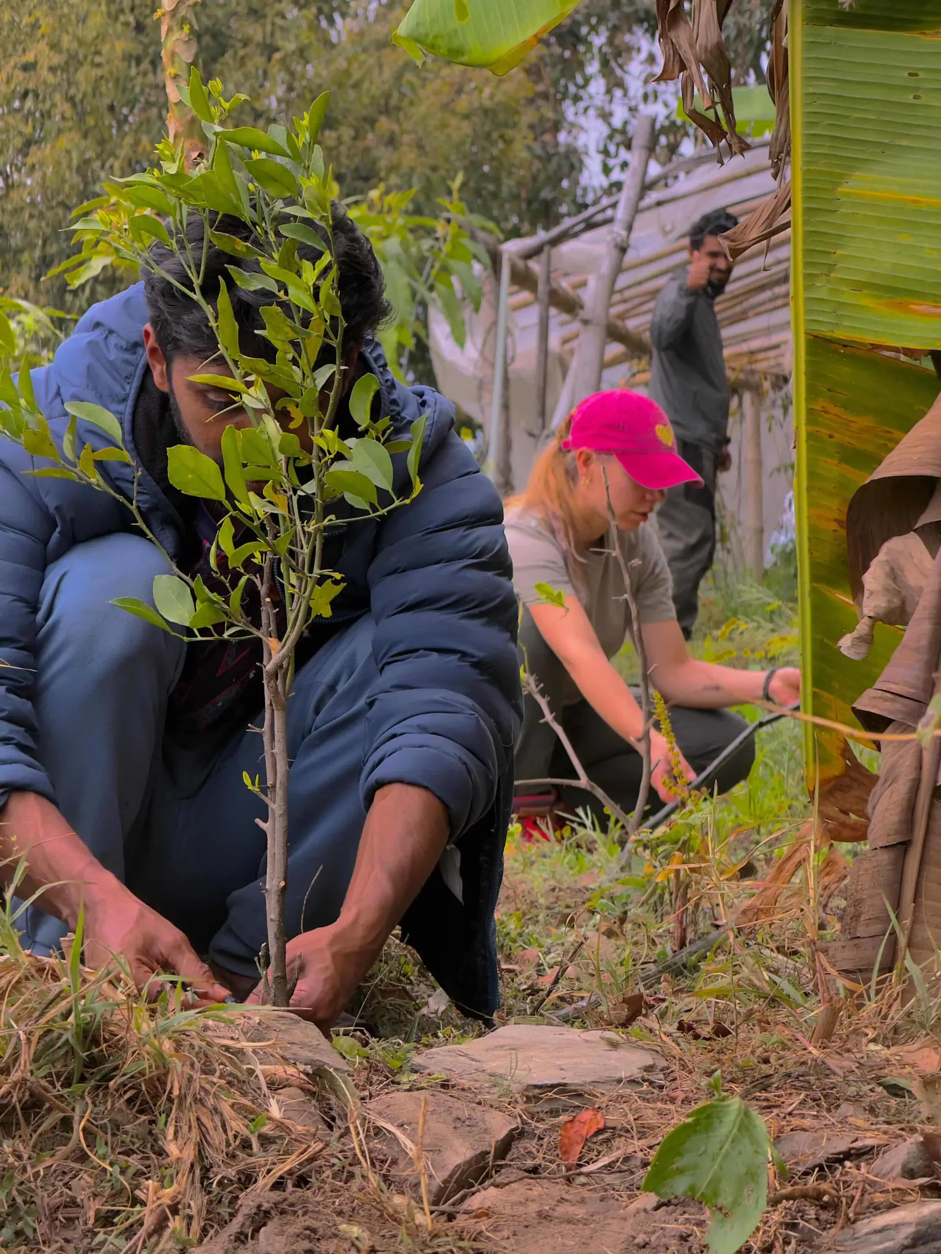 Local farmer and guide from Fulbari, Pokhara