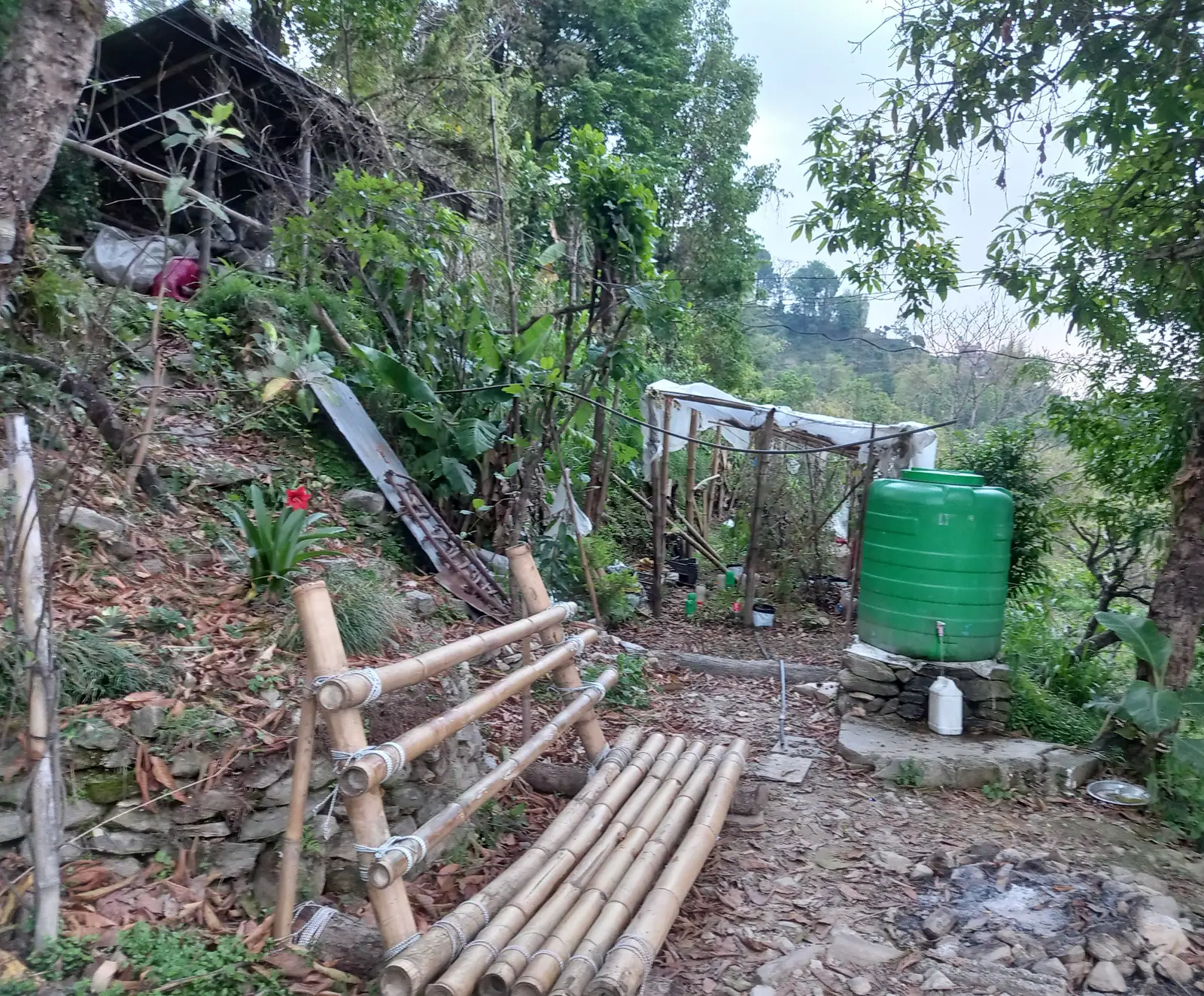Lemon Agro Farm