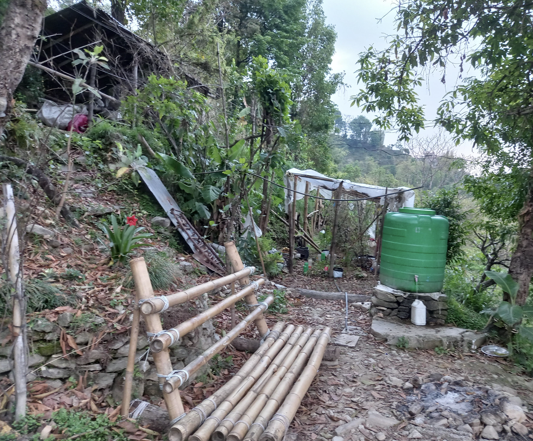 Lemon Agro Farm